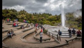 بلاد العجائب المتجولة: رحلة المسافر السحرية