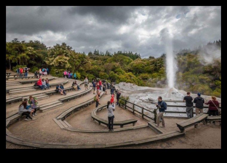 بلاد العجائب المتجولة: رحلة المسافر السحرية