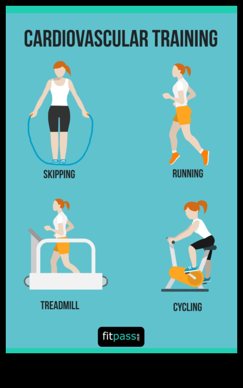 أبرز صحة القلب: أفضل تمارين القلب والأوعية الدموية