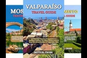 ما وراء الحدود: دليل المسافر للاتصال العالمي