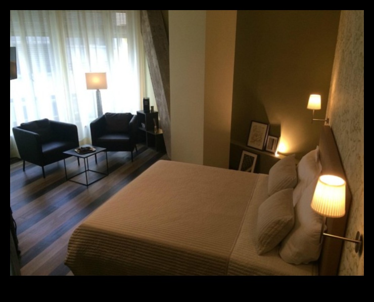 جناح الصدفة: دليل لراحة غير متوقعة