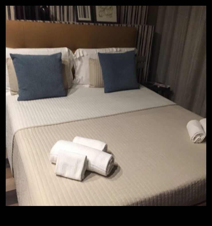 جناح الصدفة: دليل لراحة غير متوقعة