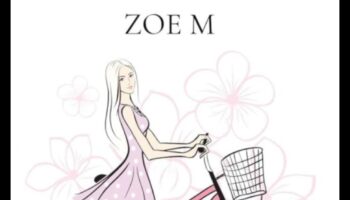 جناح الصدفة: دليل لراحة غير متوقعة