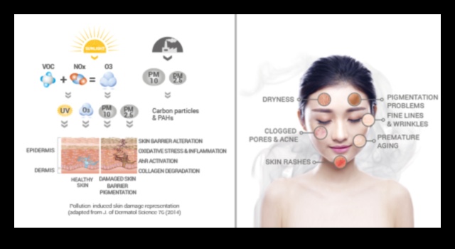 تأثير التلوث على بشرتك: الحماية من الضغوطات البيئية